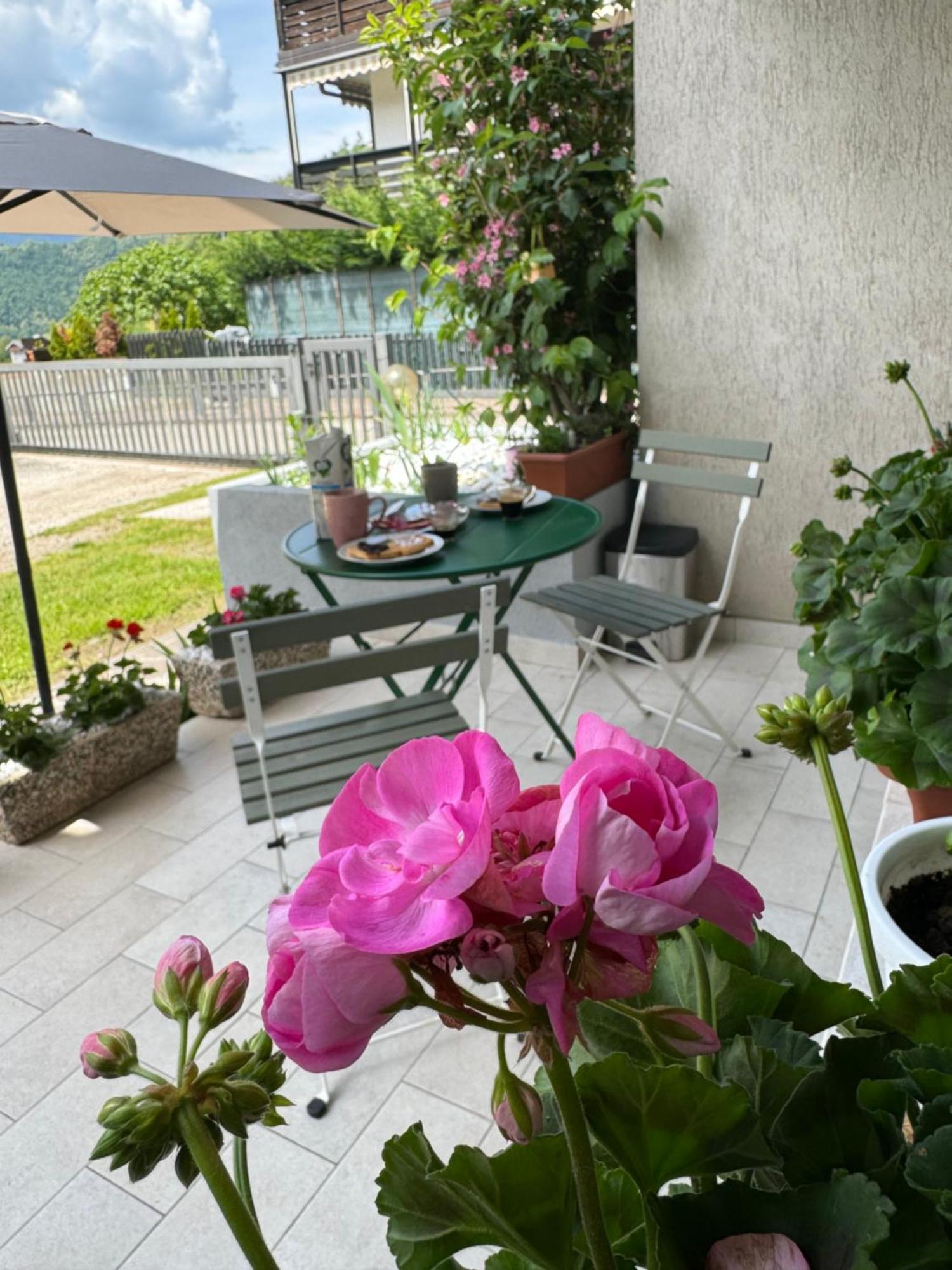 Green House Next - Lovely Apartment For Family And Free Parking 莱维科特尔梅 外观 照片